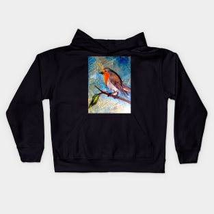 Robin Kids Hoodie